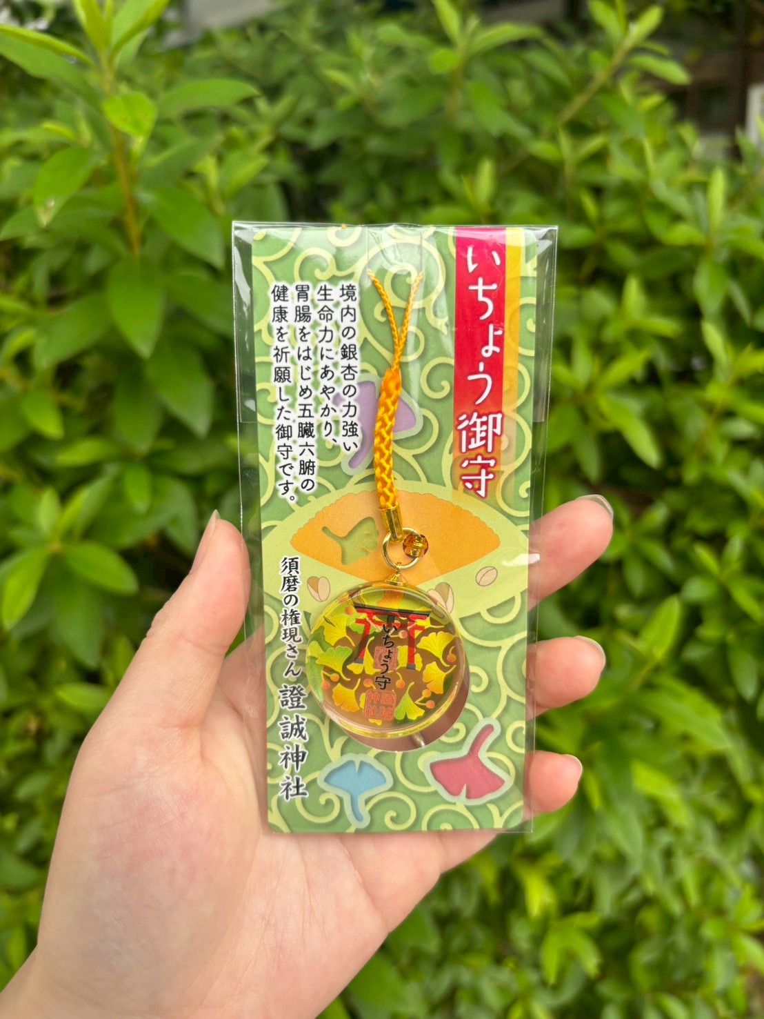 新しく「いちょう御守」の授与を始めました